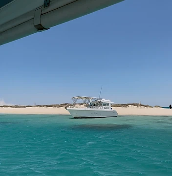 Red Sea Boat Trips