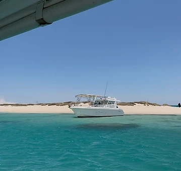 Red Sea Boat Trips