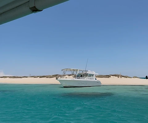 Red Sea Boat Trips