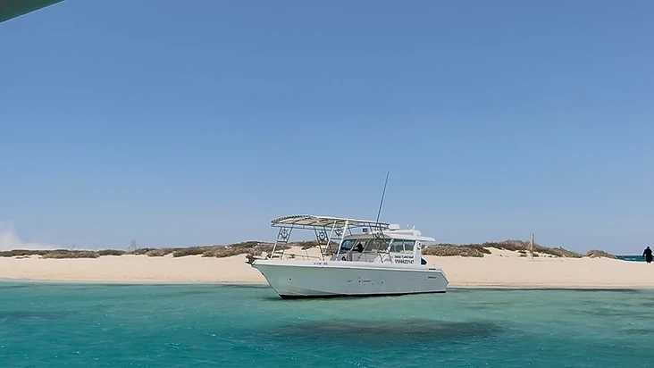Red Sea Boat Trips