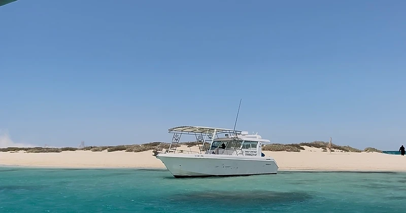 Red Sea Boat Trips