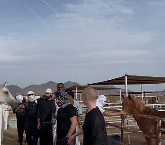 Horse Riding Experience 3