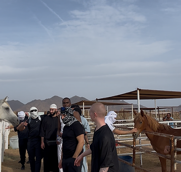 Horse Riding Experience 4