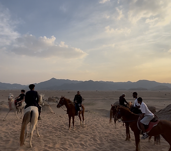 Horse Riding Experience 11