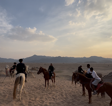 Horse Riding Experience 12