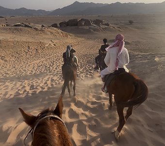 Horse Riding Experience 12