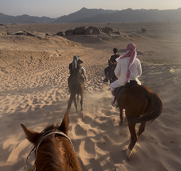 Horse Riding Experience 13