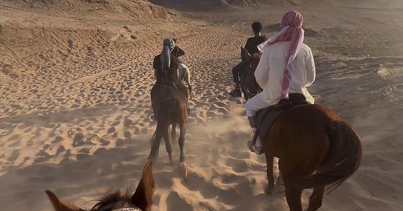 Horse Riding Experience 13