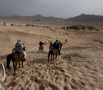 Horse Riding Experience 5