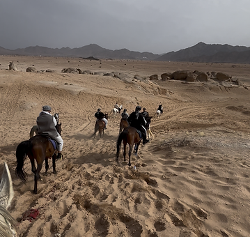 Horse Riding Experience 6