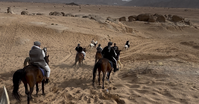 Horse Riding Experience 6