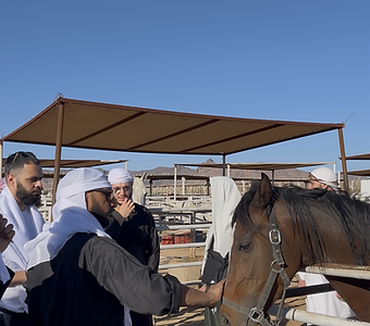 Horse Riding Experience 8
