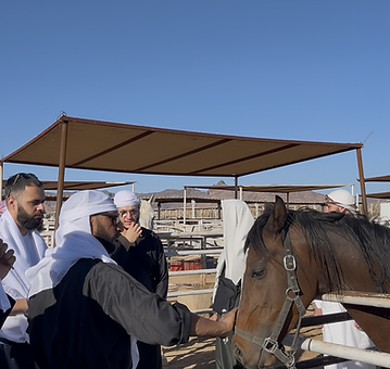 Horse Riding Experience 9