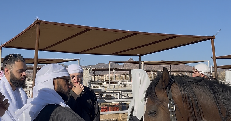 Horse Riding Experience 9