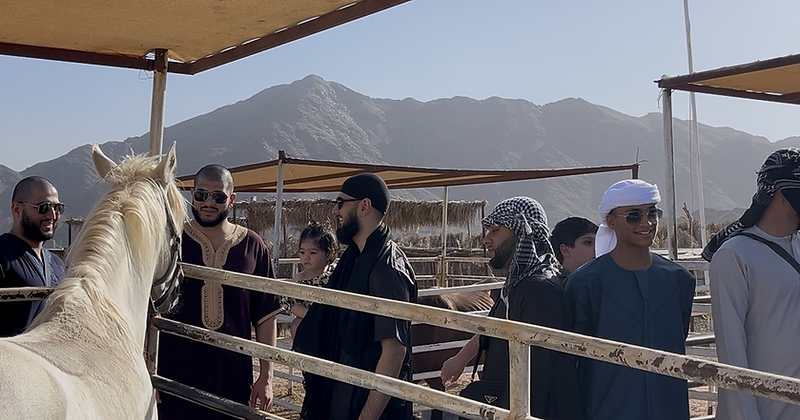 Horse Riding Experience 14