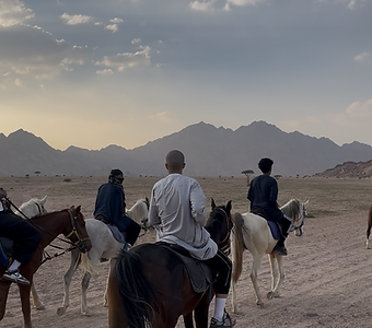 Horse Riding Experience 10