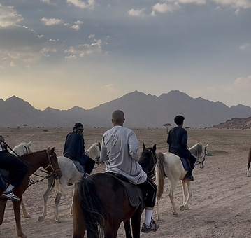 Horse Riding Experience 11