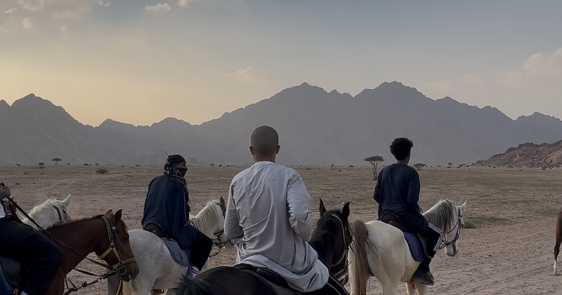 Horse Riding Experience 11