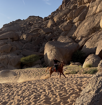Horse Riding Experience