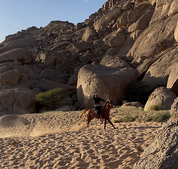 Horse Riding Experience 1