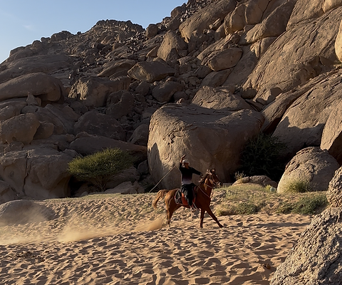 Horse Riding Experience
