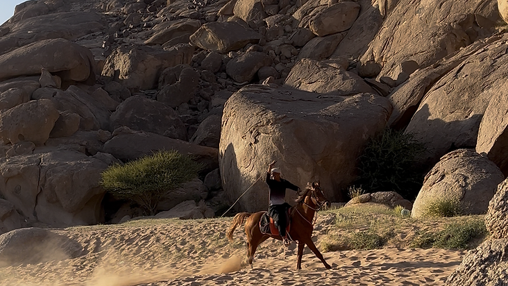 Horse Riding Experience