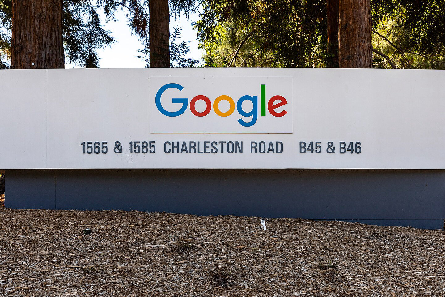 Biały znak z kolorowym logo Google i adresem 1565 & 1585 Charleston Road, B45 & B46, na tle wysokich drzew i ściółki z kory