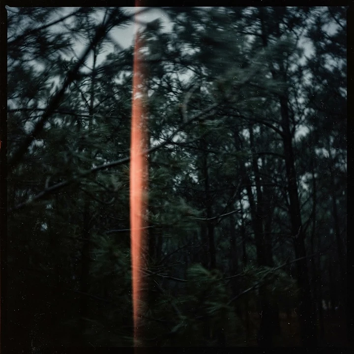Wind Through Leaves