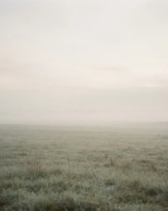 Open Field