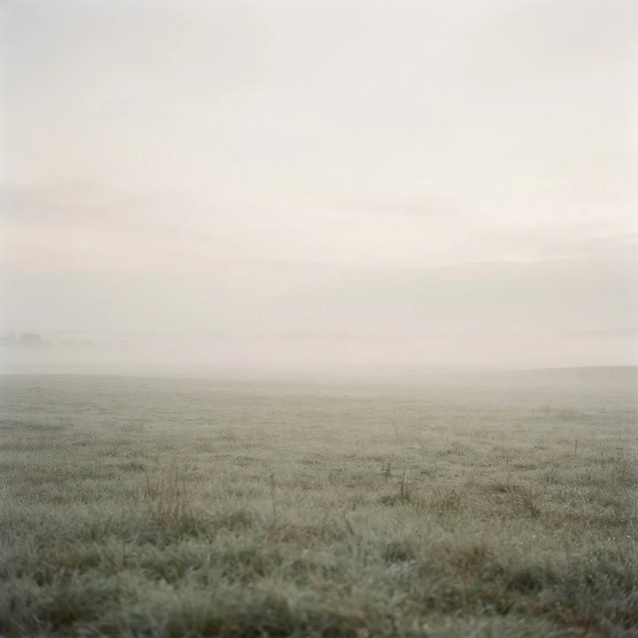 Open Field