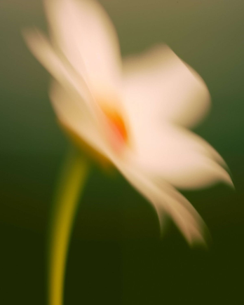 Solstice