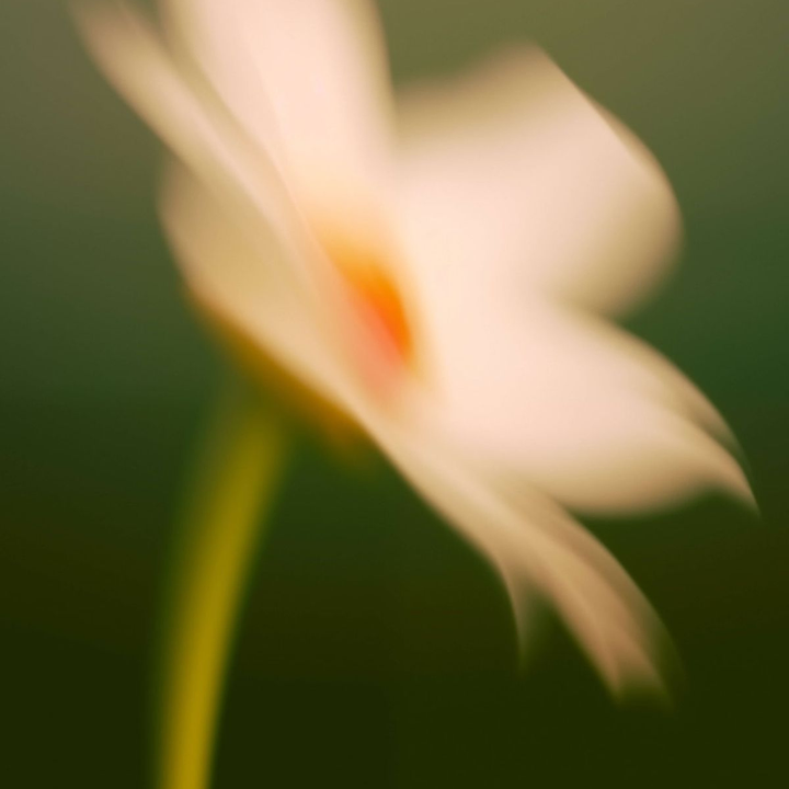 Solstice