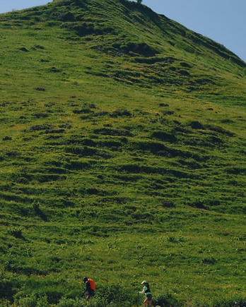 Open Hillside