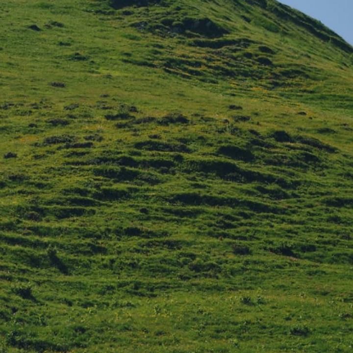 Open Hillside