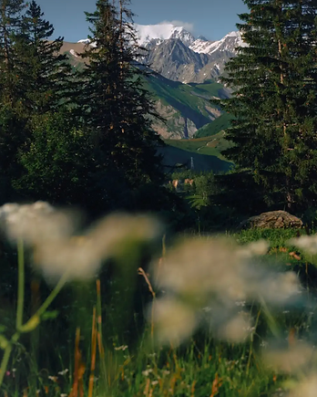 Mountain Valley