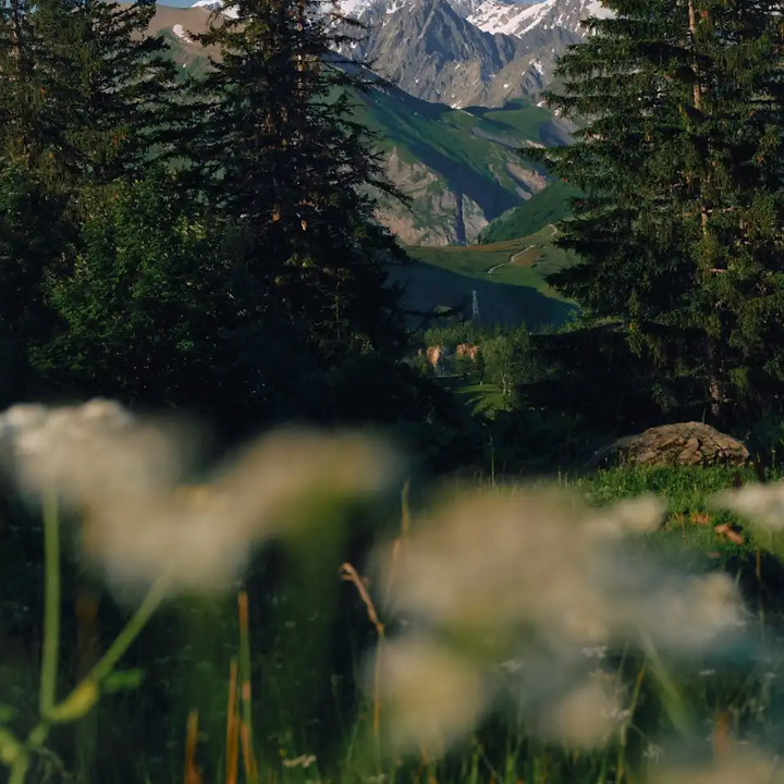 Mountain Valley