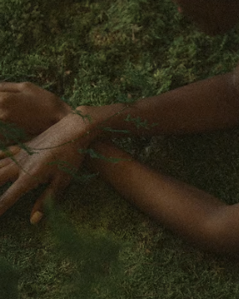 Moss Touch