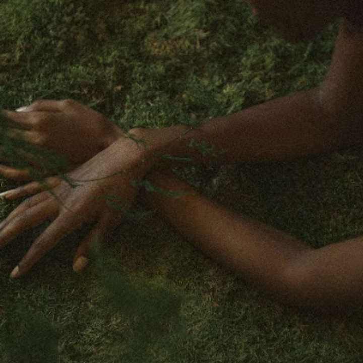 Moss Touch