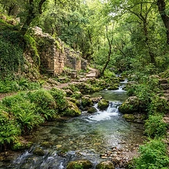 Une Escapade dans le Golan – photo 1
