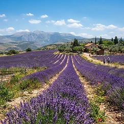 Une Escapade dans le Golan – photo 2
