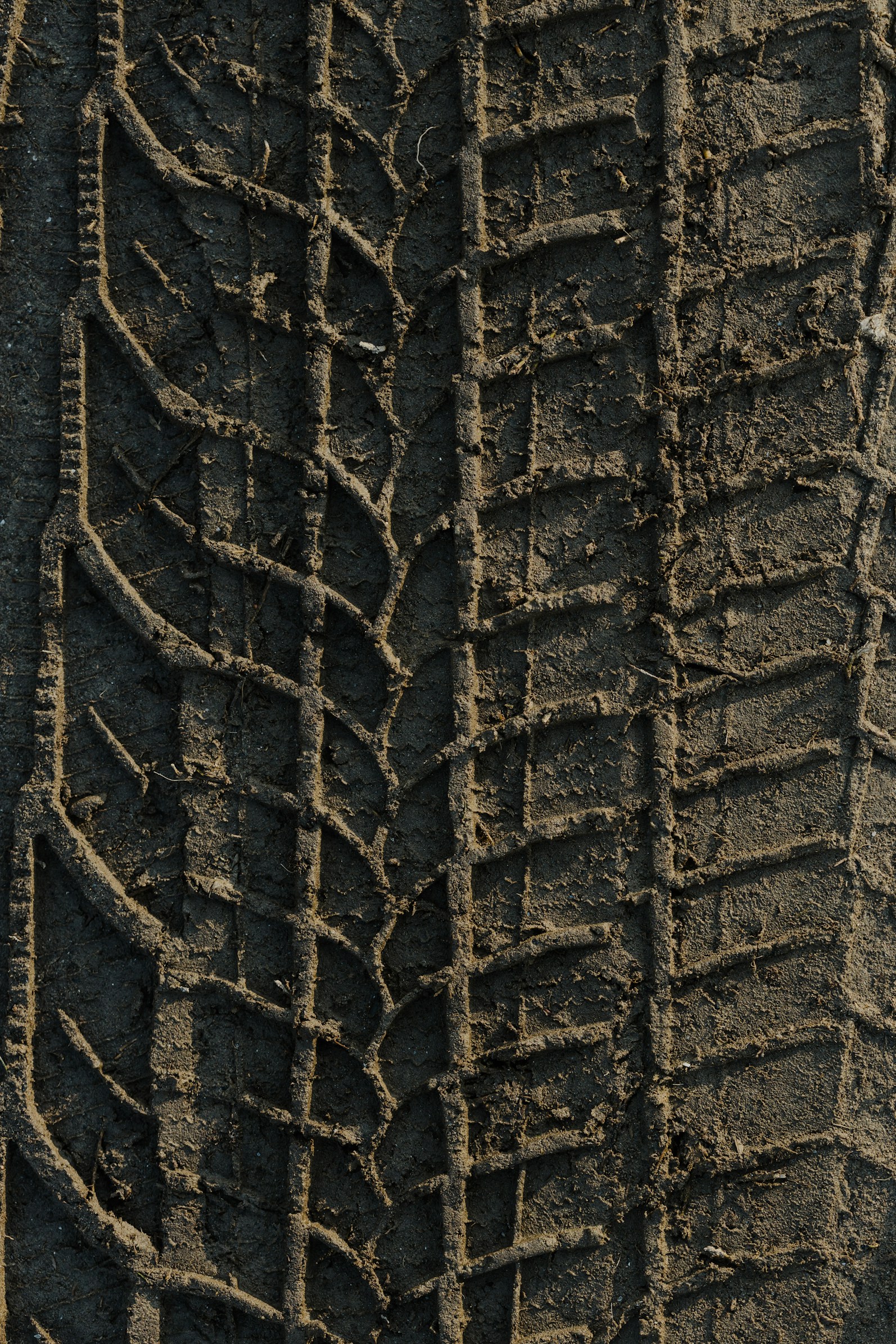 Tire tracks in dirt background