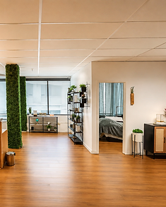 Prepared Treatment Suite
