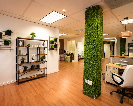 Retail shelving and greenery column inside Pure Luminosity Spa