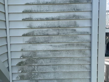 White vinyl siding streaked with dark algae growth, before cleaning