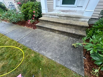 Concrete front steps and walkway covered in moss and weathering, before cleaning