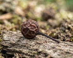 Cubeb