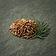 Cumin