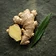 Ginger