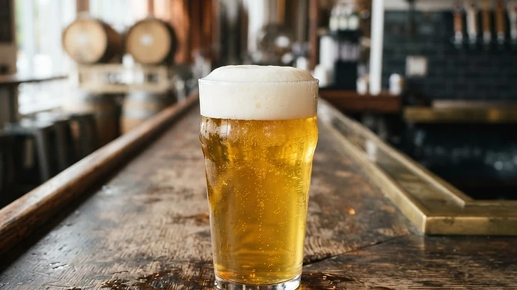 Soggy Bottom Brewing Co. — bars