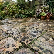 Indian sandstone patio with dark patches of black spot lichen and algae before cleaning